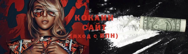 apvp Новозыбков