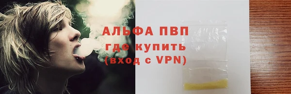 сатива Баксан