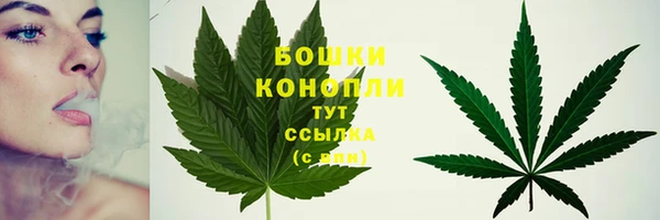 сатива Баксан