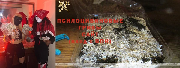 хмурый Балабаново