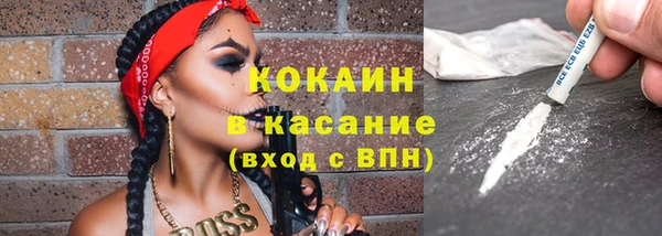 сатива Баксан