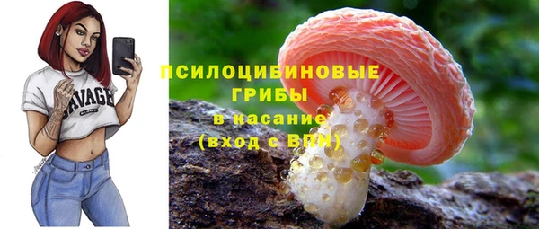 сатива Баксан